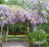 Amelina Cottages - Accommodation Port Hedland