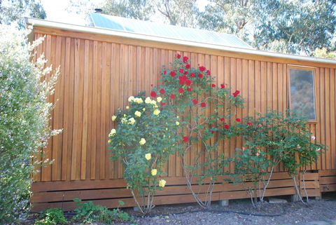 Bluegum Ridge Cottages - Accommodation Port Hedland 23