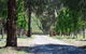 Bluegum Ridge Cottages - thumb 3