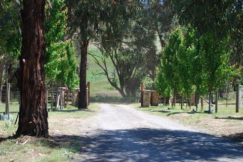 Bluegum Ridge Cottages - Accommodation Port Hedland 3