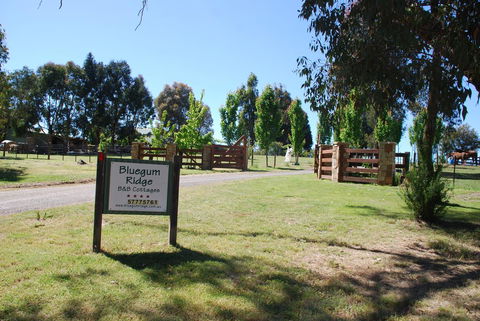 Bluegum Ridge Cottages - Accommodation Port Hedland 1