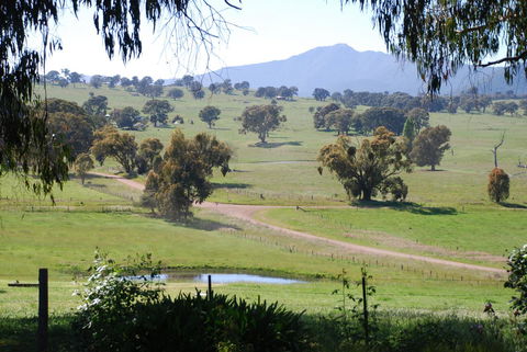 Bluegum Ridge Cottages - Accommodation Port Hedland 31