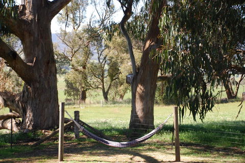 Bluegum Ridge Cottages - Accommodation Port Hedland 28