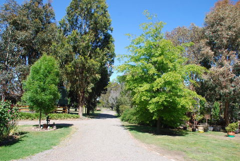 Bluegum Ridge Cottages - Accommodation Port Hedland 5