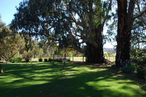 Bluegum Ridge Cottages - Accommodation Port Hedland 29