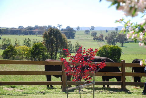 Bluegum Ridge Cottages - Accommodation Port Hedland 33