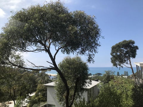 Lorne Sea View Terrace House - Accommodation Port Hedland 26