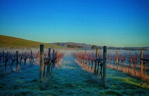 Rooftops - Accommodation Port Hedland 20