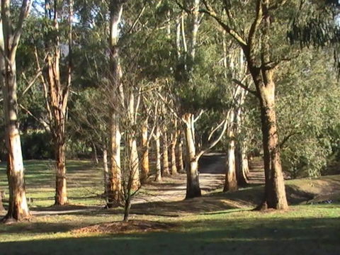 Kangaroo Manor - Accommodation Port Hedland 21