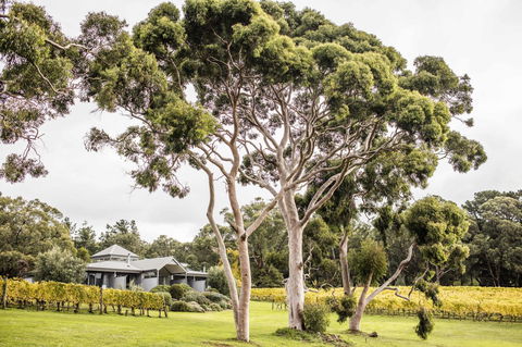 Polperro Villas - Accommodation Port Hedland 20