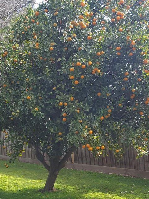 Juliet House - Accommodation Port Hedland 21