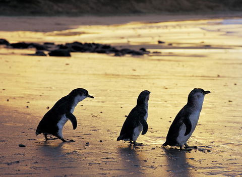 Cottages For Two - Accommodation Port Hedland 10