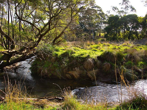 Green Gully House - Accommodation Port Hedland 5