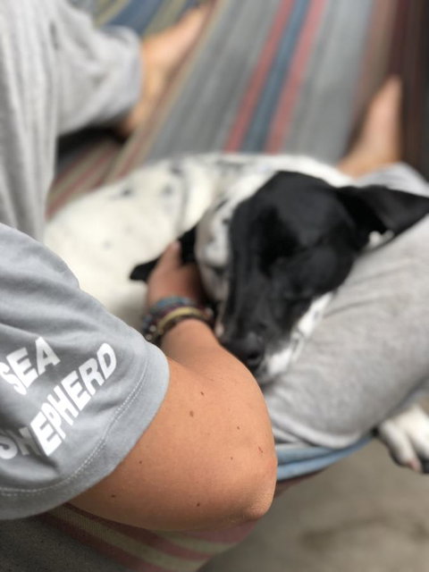 Backpackers At 1770 - Accommodation Port Hedland 15