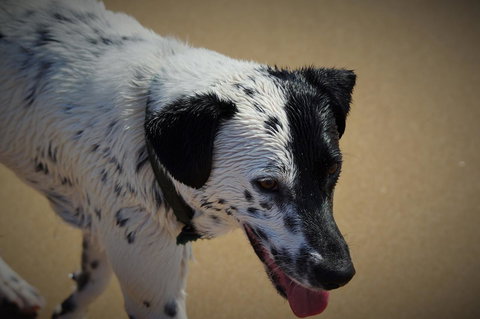 Backpackers At 1770 - Accommodation Port Hedland 21