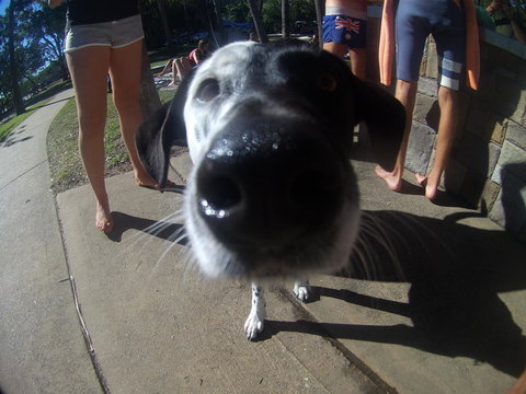 Backpackers At 1770 - Accommodation Port Hedland 2