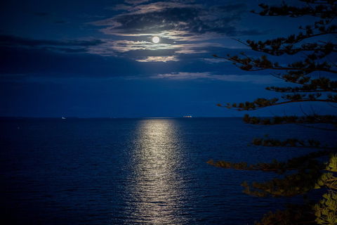 The Sebel Brisbane Margate Beach - Accommodation Port Hedland 31
