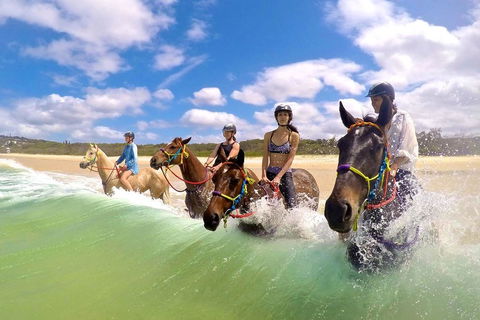 Salty Vibes Retreat - Accommodation Port Hedland 6