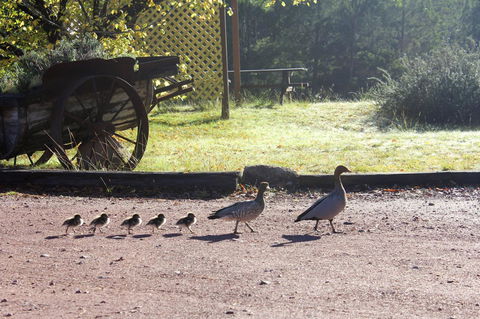 Granite Belt Retreat And Brewery - Accommodation Port Hedland 22
