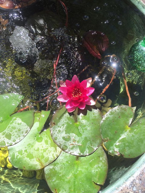 Bed & Breakfast 1 Bedroom Guest House - Accommodation Port Hedland 42