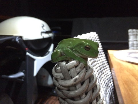 Bed & Breakfast 1 Bedroom Guest House - Accommodation Port Hedland 43