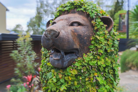 Bed & Breakfast 1 Bedroom Guest House - Accommodation Port Hedland 44