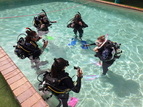 Backpackers In Paradise 18-35 Hostel - Accommodation Port Hedland 18