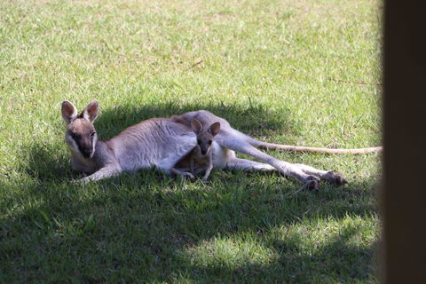 The Hideaway Agnes Water (Adults Only) - Accommodation Port Hedland 42