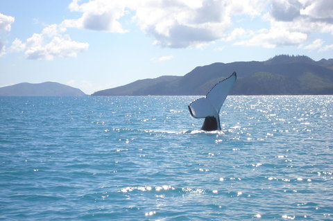 Marina View Apartment - Accommodation Port Hedland 9