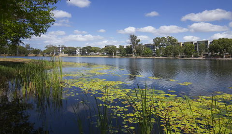 Jacana Apartments - Accommodation Port Hedland 15