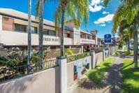 Cairns City Palms