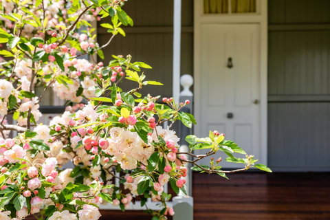Apple Blossom Cottages - Accommodation Port Hedland 2