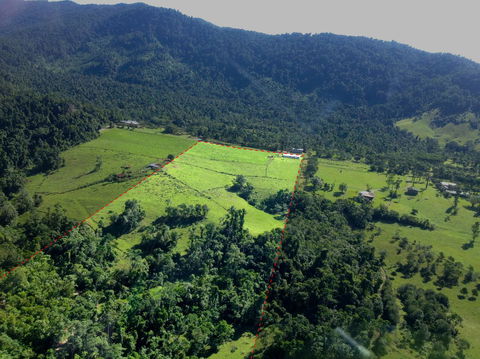 Misty Mountains Rainforest Retreat - Accommodation Port Hedland 33