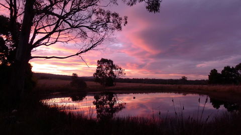 Wind Song Bed & Breakfast - Accommodation Port Hedland 0