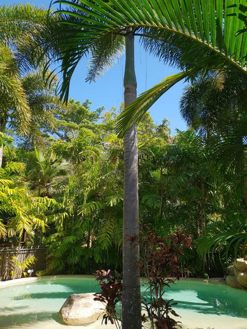 Cassawong Cottages - Accommodation Port Hedland 16