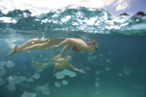 Tangalooma Island Resort - Accommodation Port Hedland 4