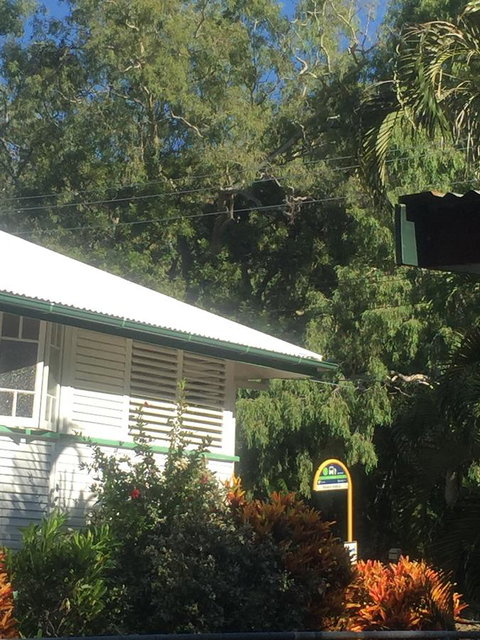 Daggoombah Holiday Home Magnetic Island - Accommodation Port Hedland 15