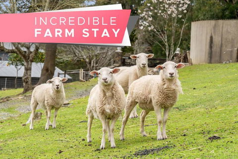 Carawatha On The Range - Unique Farm Stay - Accommodation Port Hedland 0