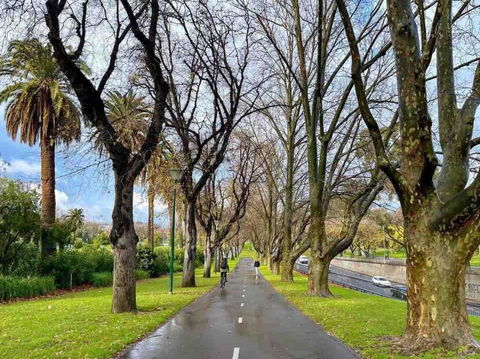 D124 Big Stay At Biggs - Accommodation Port Hedland 2