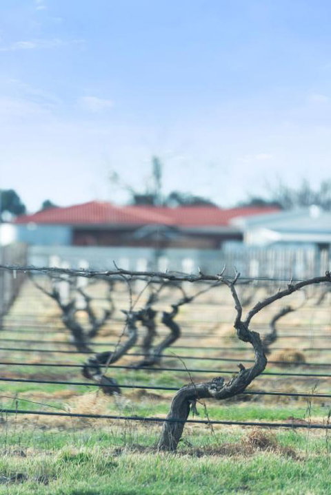 Crimson Ridge - Wines, Vines And Dine - Accommodation Port Hedland 1