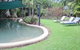 Daintree Wild Bed & Breakfast - thumb 4