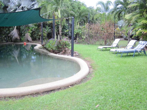 Daintree Wild Bed & Breakfast - Accommodation Port Hedland 4