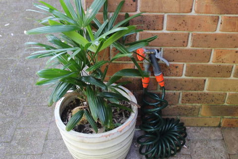 3 MELALEUCA - Accommodation Port Hedland 2