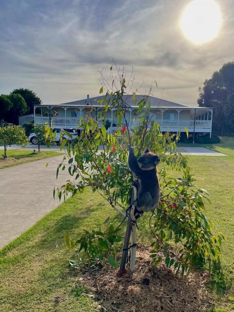 Galbraith Beach Studios - Studio 2 - Accommodation Port Hedland 2