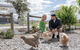 Gumnut Cottage Gippsland - Tiny Romantic Escape W King Bed Mountain Views - thumb 3