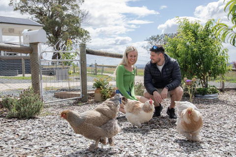 Gumnut Cottage Gippsland - Tiny Romantic Escape W King Bed Mountain Views - Accommodation Port Hedland 3