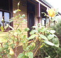 Albion Cottage - Accommodation Port Hedland