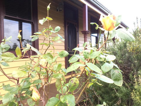 Albion Cottage - Accommodation Port Hedland 0