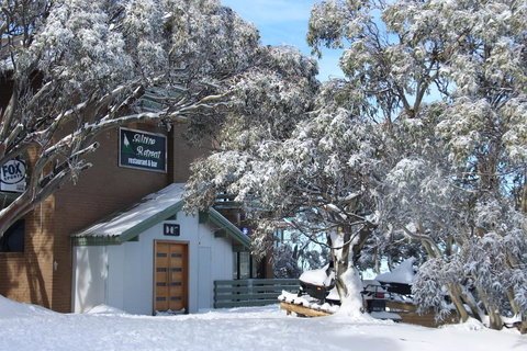 Alpine Retreat Mt Buller - Accommodation Port Hedland 0