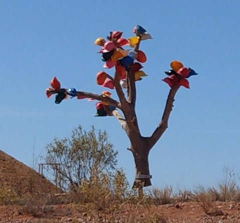 ANTE STREET DUGOUT - Accommodation Port Hedland 1